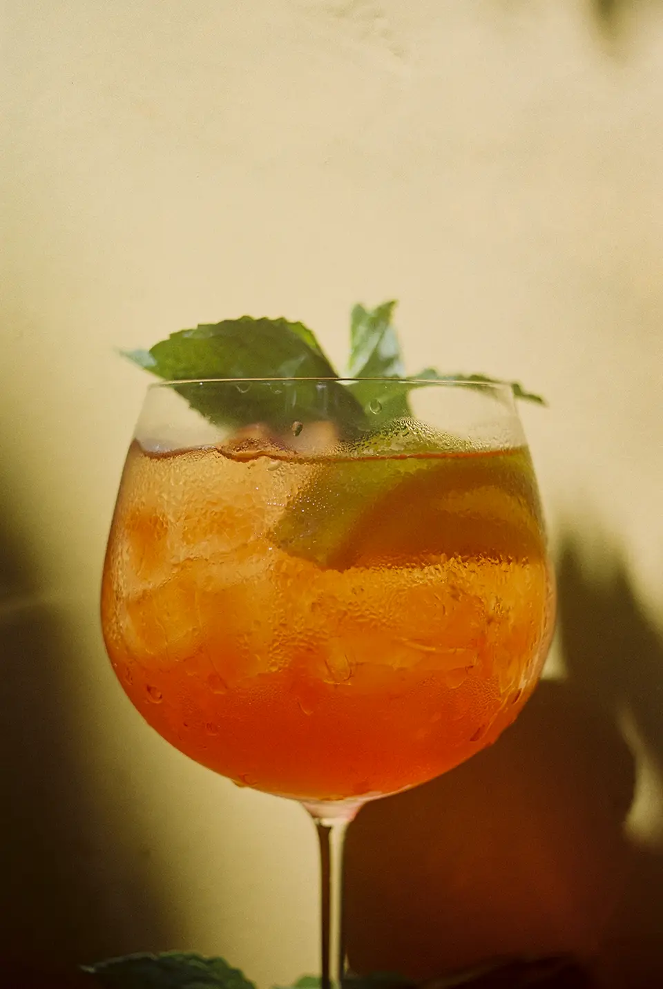 Taça cheia de um drink de cor laranja bem vivo. Dentro da taça há pedras de gelo, um gomo de limão siciliano e um ramo de hortelã.